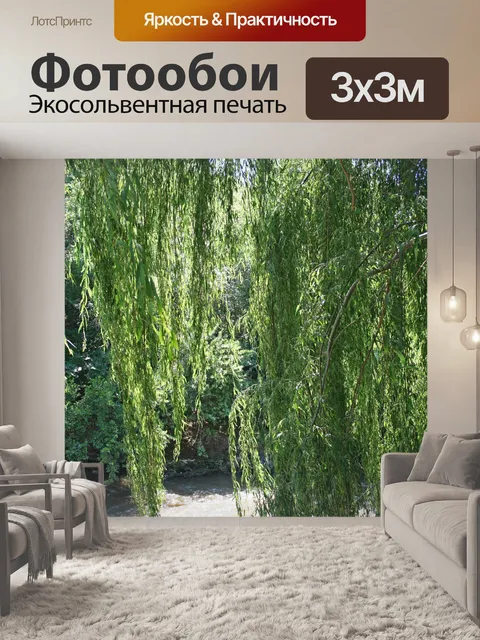 Фотообои плакучая ива дерево крупным планом