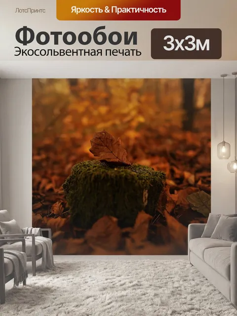 Фотообои Лес