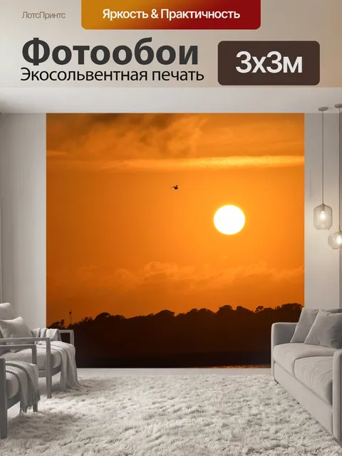 Фотообои Пеликан Полет над рекой