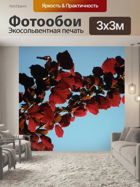 Фотообои Орешник