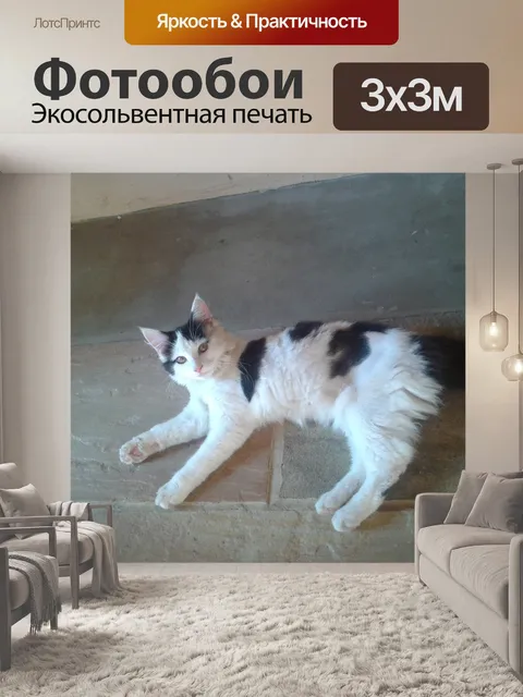 Фотообои Кошка смотрит назад