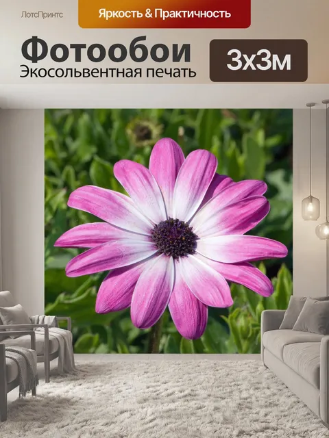 Фотообои Розовый цветок