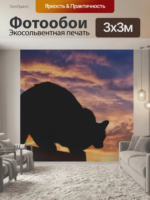 Фотообои Кот