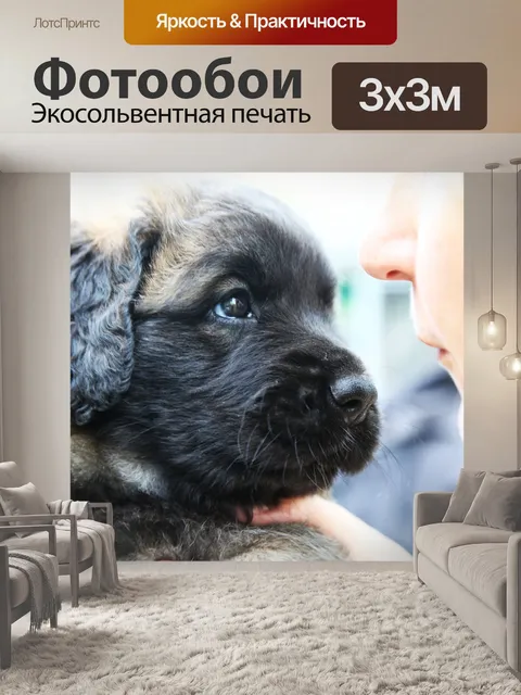 Фотообои Собака