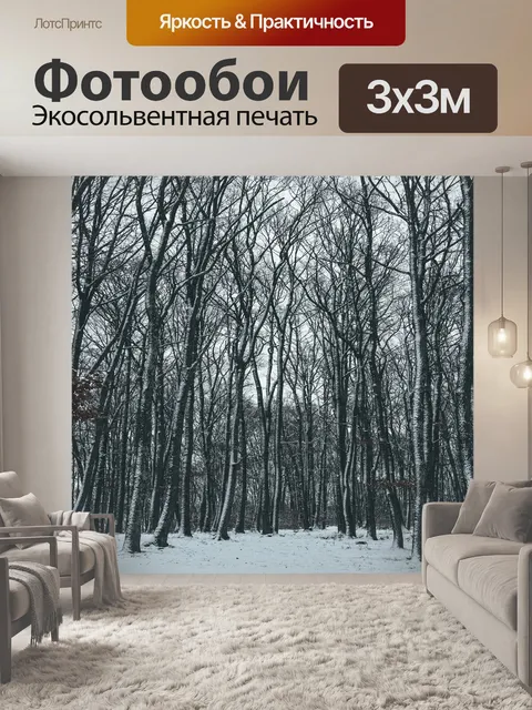 Фотообои Зима