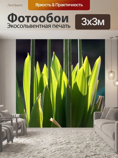 Фотообои зеленые листья и длинные стебли