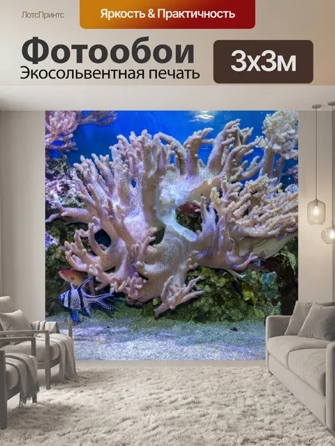 Фотообои Тропический морской водой с кораллами