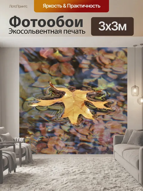 Фотообои Лист, плавающий в потоке крупным планом