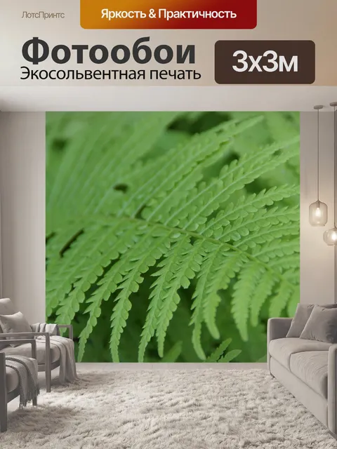 Фотообои Папоротник