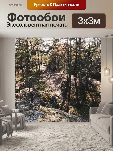 Фотообои Лес