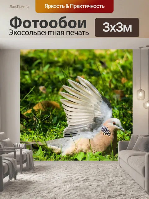 Фотообои Птица