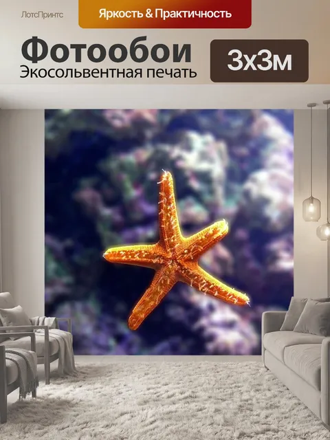 Фотообои Морская звезда