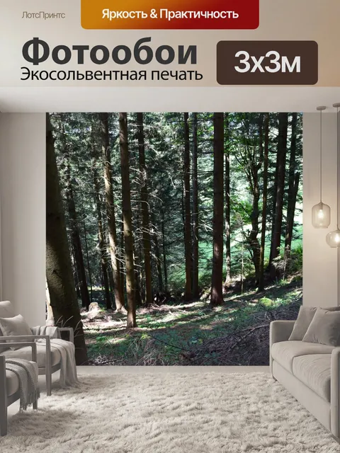 Фотообои Лес