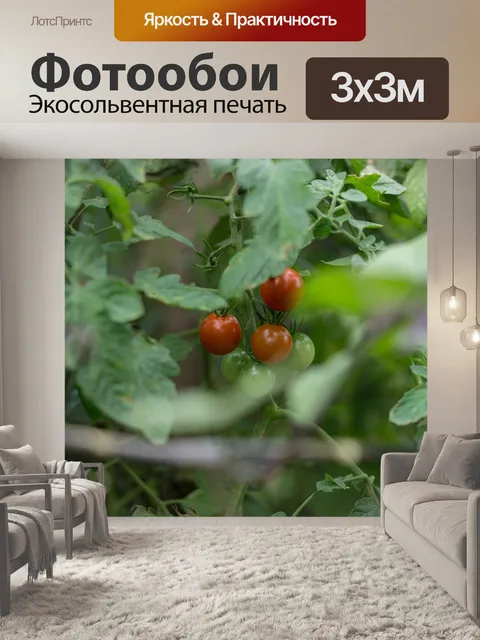Фотообои Небольшой помидор