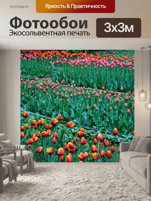 Фотообои тюльпаны, ботанические сады, москва