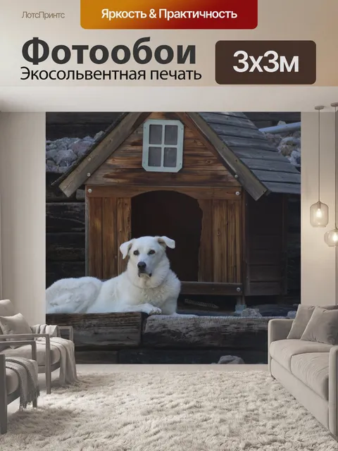 Фотообои Собака перед домом собаки