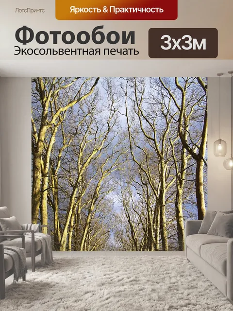 Фотообои Лес