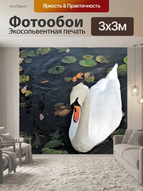 Фотообои Лебедь