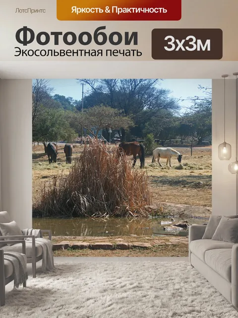 Фотообои группа лошадей, пасущихся зимой