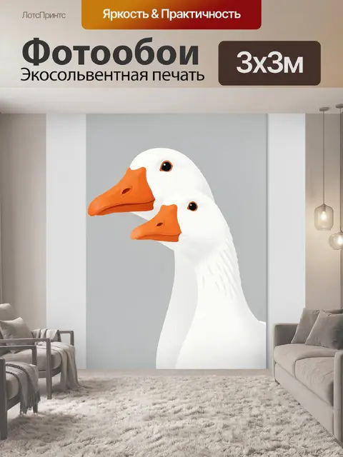 Фотообои Две белые утки с оранжевыми клювами