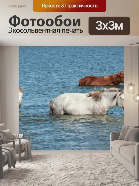 Фотообои Лошади
