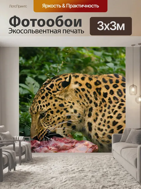 Фотообои Леопард