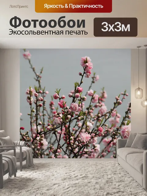 Фотообои Цветок сливы