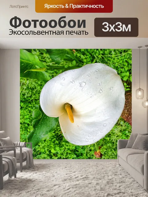 Фотообои Пасхальная лилия