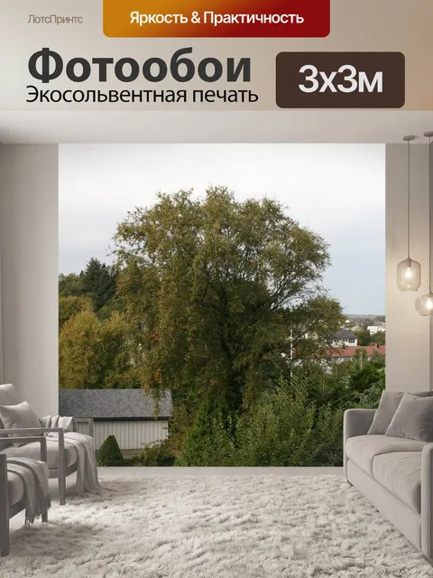 Фотообои Береза