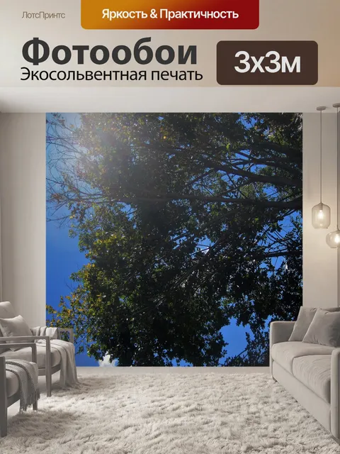 Фотообои Яркое солнце и дерево