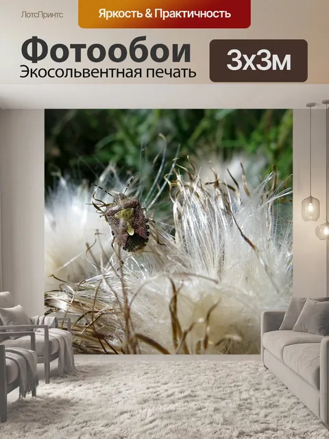 Фотообои Ягодный клоп