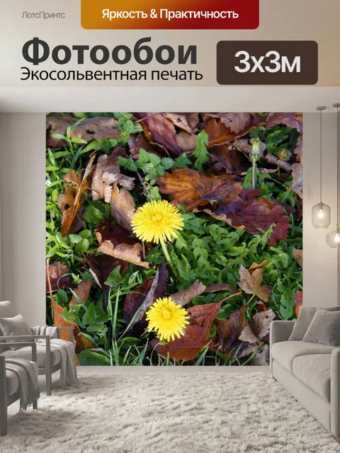 Фотообои Осень