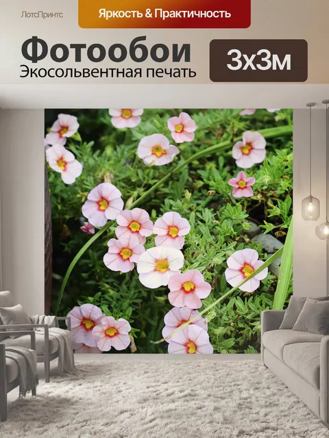 Фотообои Маленький