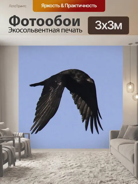 Фотообои Ворон