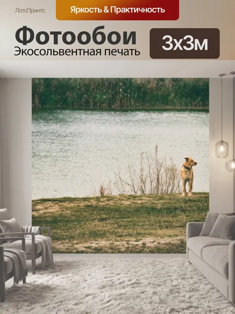Фотообои Собака