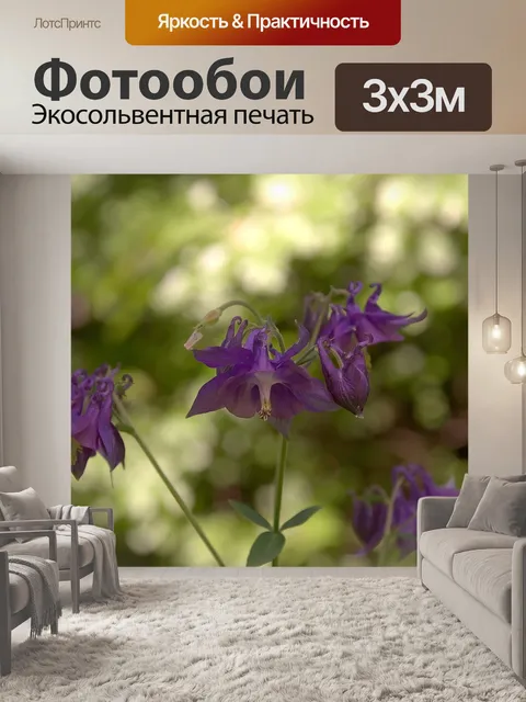 Фотообои Лесные орхидеи