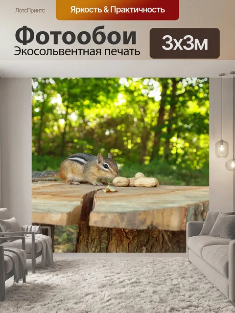 Фотообои Бурундук, преследующий арахис