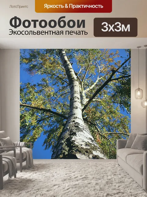 Фотообои Береза