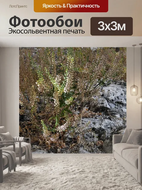 Фотообои Пустынный завод
