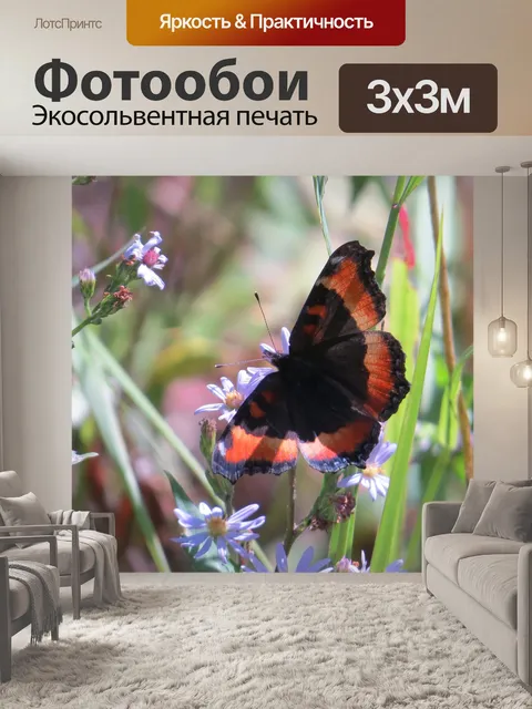 Фотообои Бабочка