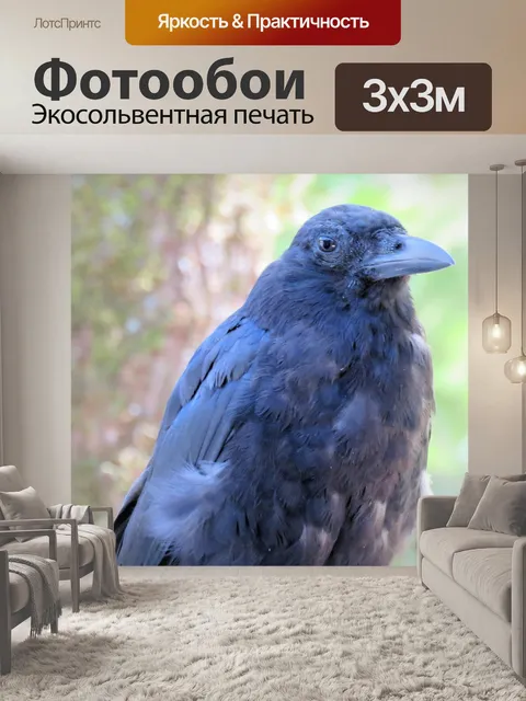Фотообои ворона 6