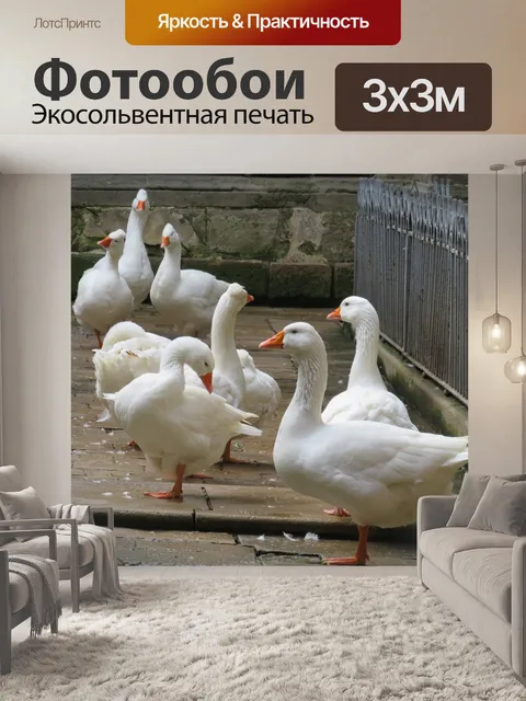 Фотообои Гусь