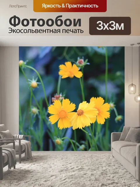Фотообои Ярко-желтые ромашки