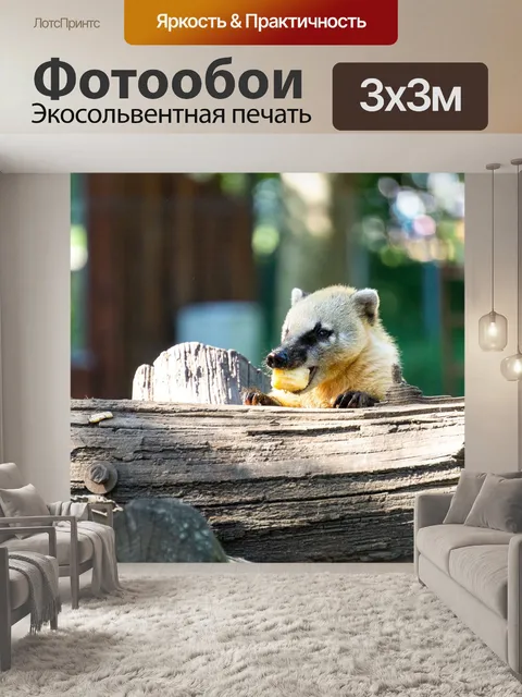 Фотообои Мордочка медведя