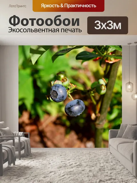 Фотообои черника