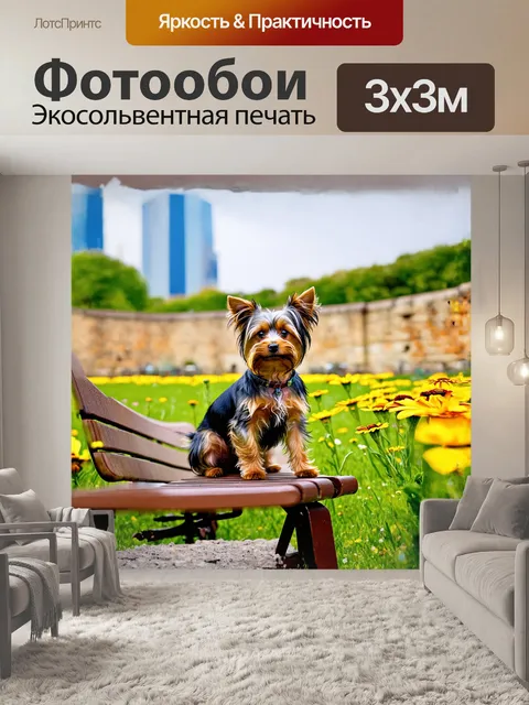 Фотообои йоркширский терьер сидит на скамейке в парке