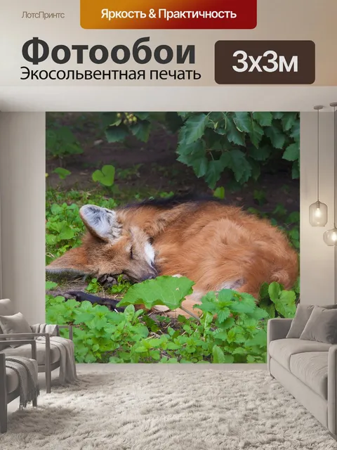 Фотообои Лиса