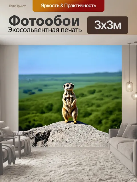 Фотообои одинокий сурикат, наблюдающий за дальним горизонтом, словно страж в зоопарке, стоит на задних лапках на…