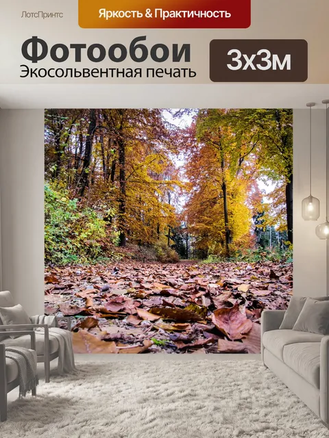 Фотообои Лес