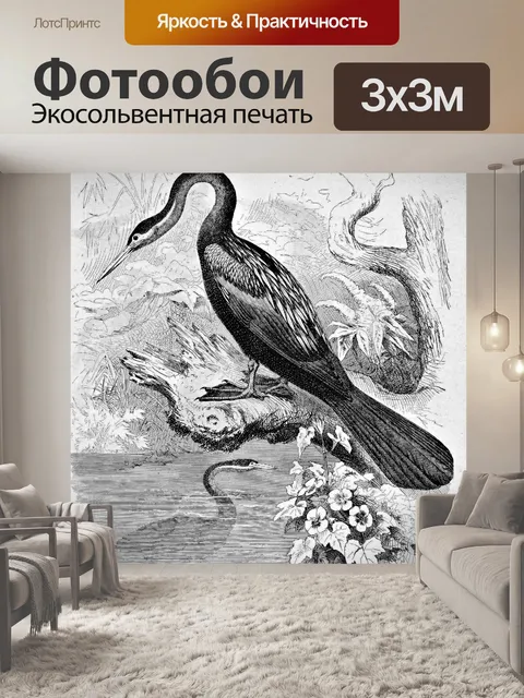Фотообои Водная птица